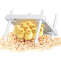 Updated 12"x12" Chick Heat Plate | Adjustable Height & Angle | 30W Lower Energy | Remote-Controlled Temp & Time | Dirt-Resistant Design | Keeps Over 20 Chicks Warm for Indoor Use