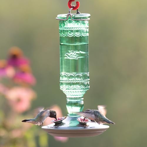 Perky-Pet Antique Glass Bottle Hummingbird Feeder, 10 oz Capacity, Green | 4 Feeding Ports for Outdoors Hanging Bird Feeders, Backyard Garden Décor - style: Green Bottle
