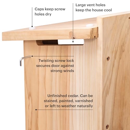 WHITEHORSE Large Cedar Owl House - Premium and Weatherproof Design - 16" x 12" x 11" - A Nesting Box for Screech Owls, Boreal, Northern Pygmy, Saw-whets, Elf, Flammulated, Kestrel and Others