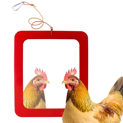 FlidRunest Extra-Large Size Chicken Mirror Toys for Coop, 11.8'' x 9.8'' Hanging Chicken Enrichment Swing Mirror Acrylic, Double-Sided Coop Accessories for Hens Birds Parrots Roosters Red