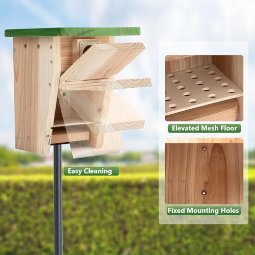 Cedar Bird House with Metal Predator Guard, Wild Bird Nesting Box | Clear viewing window, easy-clean side door, 3/4" cedar, and interior grip for wild wrens, swallows, and chickadees - style: Classic
