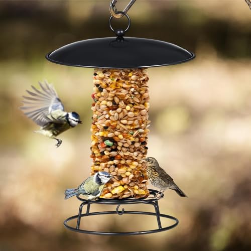 2 Pcs Cylinder Bird Feeder Outdoor Seed Cake Feeder Metal Suet Cake Holder Backyard Wild Bird Feeding Feeders for Outdoors Garden(Classic)