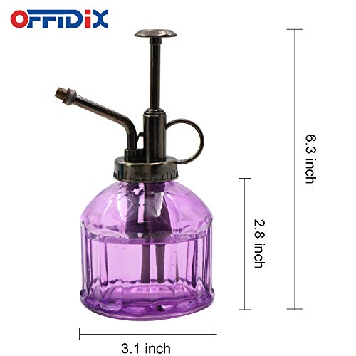 Glass Watering Spray Bottle,Plant Mister watering can indoor with Bronze Plastic Top Pump, Glass Small Watering Can for Garden, Plants, Cleaning (Purple) - color: G-Purple