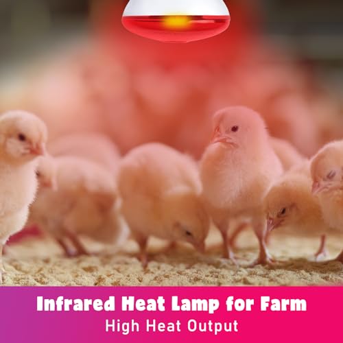 LUCKY HERP Infrared Heat Lamp for Chickens, 250 Watt Red Heat Lamp Bulb, 2 Pack Heat Light Bulb, Brooder Heat Lamp for Chicks Coop, Reptiles, Amphibian, Pet, Food Service - style: 250W Heat Lamp 2 PACK