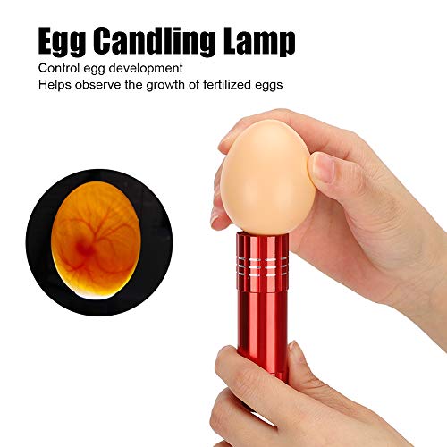 Egg Candler, Cool Light Portable Egg Candling Lamp with High Intensity Light, for Chicken, Goose, Duck, Eggs, Incubation Learning (Red)
