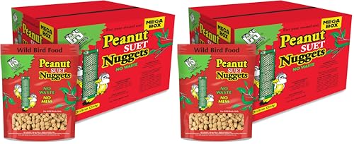 C&S Wild Bird Peanut Suet Nuggets Mega Box, 8 Pounds (Pack of 2) - size: 8 Pound (Pack of 2)