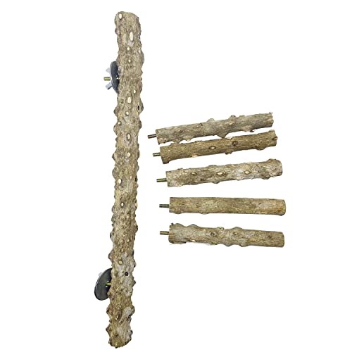 3 PCS Nature Wood Bird Ladder Perch Nature Wood Stand Parrot Chew Toy Cage Hanging Pet Cage Bird Climbing Step Ladders for Small Animal