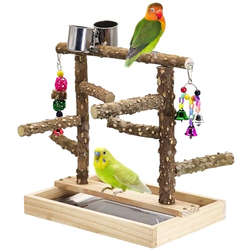 BNOSDM Natural Wood Bird Playground for Training & Playing, Parrot Perch Stand Jungle Gym with Detachable Tray & Stainless Feeder Cups Parakeet Cage Playstand for Budgie, Cockatiel, African Grey - color: Double Column Bird Stand