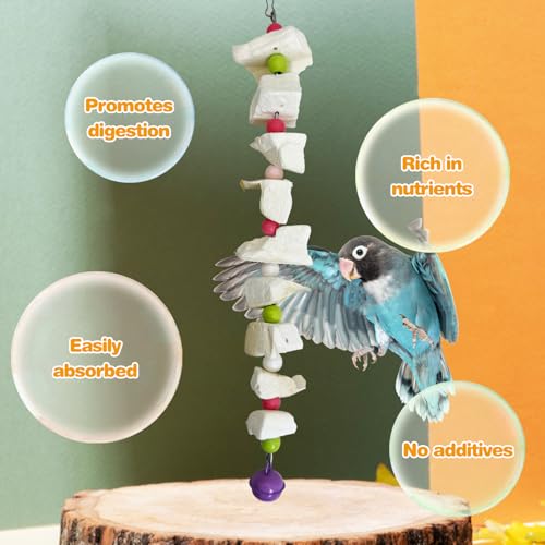 PINVNBY 2 Pack Bird Toys with Cuttlebone Calcium Parakeet Chewing Toy Hanging Bird Beak Grinding Stone Cage Accessories for Parrot Budgie Lovebird Cockatiel (Small) - size: Blocky