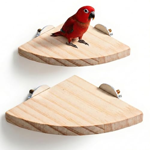 2 Pcs Flat Perches for Bird Cages Flat Bird Perch Platform Birds Perch Birds Cages Accessories Fan Shape for Parakeet Conure Cockatiel Budgie Rat Chinchilla Gerbil Hamster (2 Size)