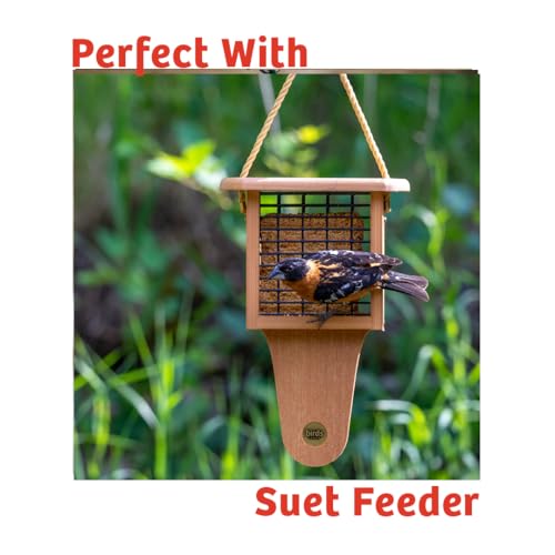 Birds Choice Peanut Butter No Melt Suet Cake | Rendered Beef Suet, Oats, Roasted Peanuts, Sunflower Oil, Corn | Premium Wild Bird Food for Year-Round Backyard Feeding | 11 oz (12-Pack) | Rendered Beef Suet with Oats, Roasted Peanuts, Sunflower Oil and Cor