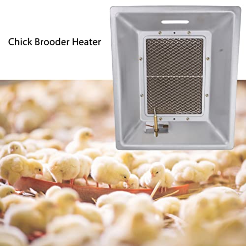 Jeanoko 1PCS Chick Heating Plate, Brooder Heat Plate, Manual Infrared Ceramics Catalytic Heating Incubation Equipment for Chicken Coops Poultry Heating