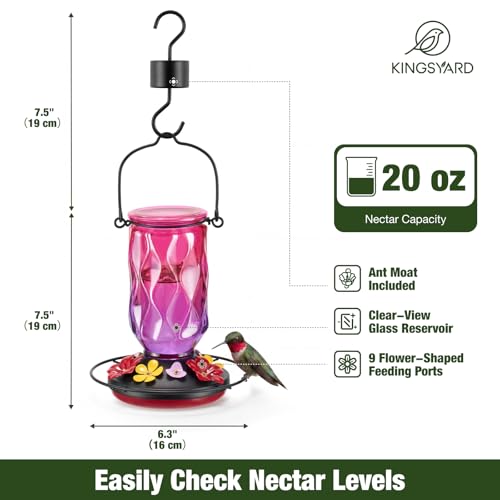 Kingsyard Glass Hummingbird Feeder for Outdoors Hanging, 20 oz Leak-Proof Wild Bird Nectar Feeders with 9 Bee Guard Ports & Ant Moat, Garden Yard Art Decor Gifts for Mom, Purple - color: Purple