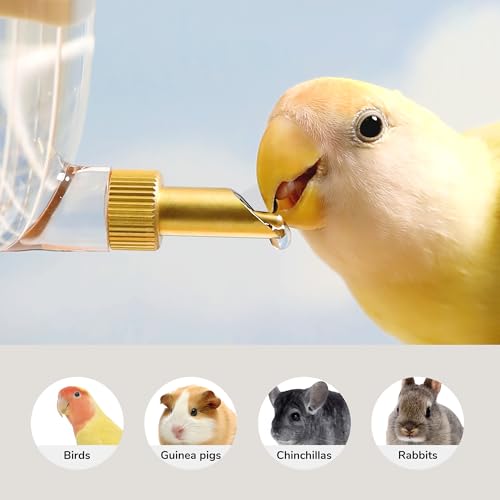 Leak-Proof & Chew-Proof Hanging Water Dispenser No Drip for Birds, Chinchillas, Guinea Pigs, Ferrets, Rats, Rabbits, Bunnies, Parrots, Squirrels, and Other Small Animals - Beige, 12oz - color: Khaki, size: 12.2 fl oz