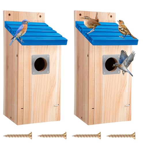 Dreyoo 2 Pack Bluebird Box Houses for Outside,1-1/2'' Entrance Hole Wooden Bird Houses with Metal Guard, Secure Latch,Fledgling Grooves,Air Vents for Bluebird Wren Swallow(Blue Roof, Wood Body) - color: Blue Roof, Wood Body