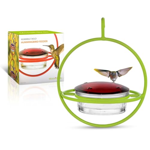 Hummingbird Feeder for Outdoors Hanging, 3.4 OZ Hummingbird Feeders, Glass Bowl with 4 Feeding Ports, Leak Proof Lid & Circular Perch, Bird Feeder (1, Lime) - color: Lime