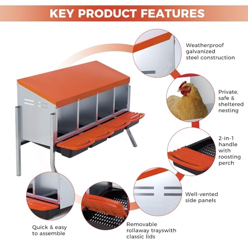  Chicken Nesting Box with Cleanable Pull Out Trays, 4 Hole Roll Away Nesting Box for Laying Hens, Wall Mount or Placed Design for Easy Egg Collection ﻿ - color: Orange, size: 4 Holes with legs