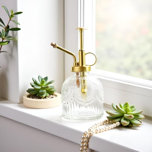Glass Plant Mister Spray Bottle, 230ML Vintage Plant Spritzer, Succulent Watering Bottle Glass with Top Pump, Small Plants Sprayer Watering Can for Indoor Outdoor House(Clear) - color: White Gold