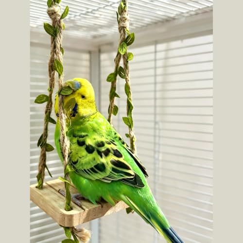 Spinning Bird-Toys Bird Cage Toys & Bird Perch Parrot-Parakeet Budgie Cockatiel Conure Macaw Chicken Parrot Enrichment Cage Accessories Small Animal Chewing Toy (Hanging Bird Swing) - color: Hanging Bird Swing