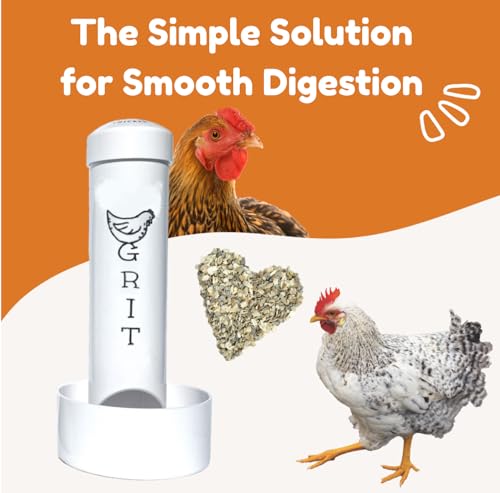 Grit Feeder for Chickens
