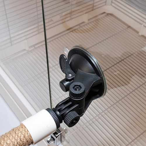 Natural Flax Bird Perch Stand, Strong Suction Cups Bird Window Perch | Movable Parrot Training Perch for Window Mirror Car Tiles | Universal for Budgie, Cockatiel, Conure (U-Shaped Perch + Swing) - color: U-Shaped Perch + Swing