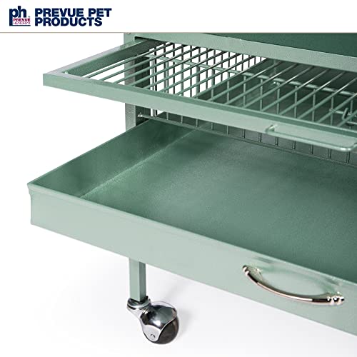 Prevue Hendryx Pet Products Wrought Iron Select Bird Cage 3152SAGE Sage Green, 24-Inch by 20-Inch by 60-Inch | Large Steel Cage with Rolling Stand, and Playtop, Durable Design, Ideal for Conures and Medium Birds - color: Sage Green, size: 24.0"L x 20.0"W