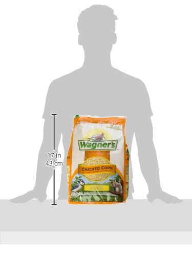 Wagner's 18542 Cracked Corn Wild Bird Food, 10-Pound Bag - size: 10 Pound (Pack of 1)