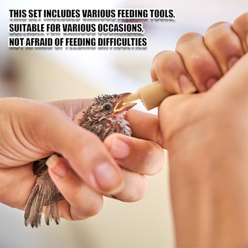 Baby Bird Feeding Syringe Kit,14pcs Newborn Pet Hand Feeder Syringe Set, Parrot Feeding Tubes Set for Small Baby Birds Pet Kittens (E) - color: E