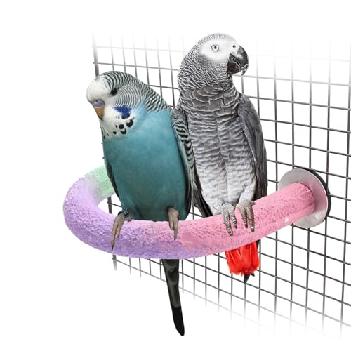 U Shape Parrot Perch Cage for 4cm Large Pad Fits Bird perches | Fits Horizontal Vertical Bars Washable Colorfast Resin Perch for Budgies, Cockatiels to Trim Nails Beak Naturally