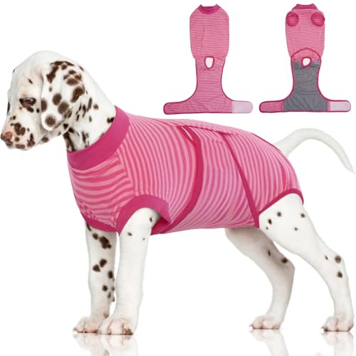 Recovery Suit for Dogs Post-Surgery,Dog Surgery Suit Female Spay | Dog Onesie for Surgery Female Collar Cone Alternative Surgical Shirt,Male Dog Neuter Suits Rose Stripes XS - color: Rose Stripes, size: Xs(back:8.3-11.4in,wt:4-7lbs)