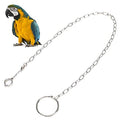 Bird Foot Chain, Pet Bird Leash Parrot Foot Chain Stainless Steel Anti bite Flying Training Anklet Ring Parrot Ankle Foot Ring Accessories