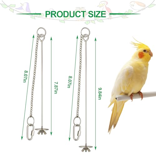 2 Pcs Chain Clauses Bird Cage Food Holder Stainless Steel Parrot Fruit & Vegetable Skewer Hanging Foraging Toy for Parakeets, Budgies, Macaws - size: Chain Clauses 2 Pcs