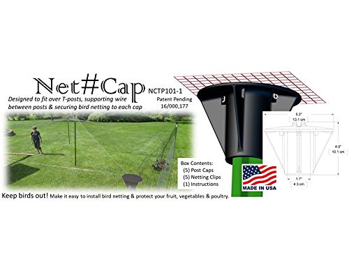 Bird Netting Post caps Madbird (5 Pack) for Bird-X, Birdbgone, Birdblock for Protecting Chickens, Blueberries. Strawberries, Fruit Trees, Grapes, Vegetable Gardens