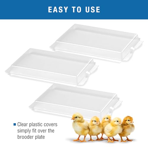Brinsea Clear Plastic Covers for EcoGlow Safety 600 Chick Brooder, 3 Pack | Authentic Brinsea plastic replacement cover for the EcoGlow Safety 600 chick brooder (model USHD611C) to make cleaning easier - style: EcoGlow Safety 600