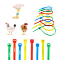 140Pcs Poultry Leg Bands | Laser-Engraved, Colorful, For Chickens, Ducks, and Geese, 0.142 inches wide