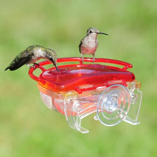 Aspects ASPECTS437 The Gem Window Hummingbird Feeder