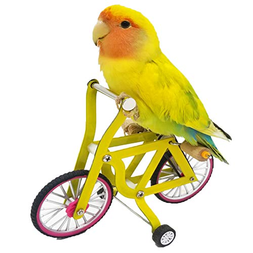 QBLEEV Bird Intelligence Training Toy - Parrot Puzzle Bicycle for Birds | Trick prop training education interactive table top & foot talon toy for african grey cockatoo conures cockatiel quaker - size: Small
