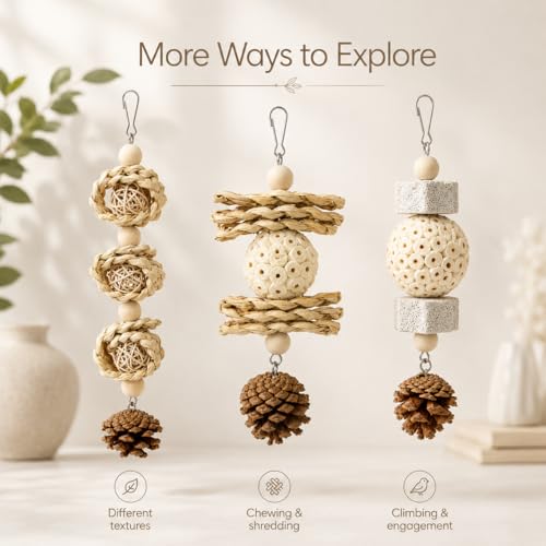 3 Pack Bird Toys for Small Birds, Texture-Rich Shredding & Chewing Toys with Sola Ball, Rattan Balls, Pumice Stone and Pinecone, Hanging Cage Toys for Budgies, Cockatiels, Lovebirds and Small Conures - size: 3 Pack