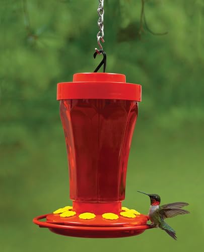 First Nature Hummingbird Flower Feeder - 32‑Ounce - Wide‑Mouth | Bright Flower Ports Attract Birds - Round Bottom Perch Fits Multiple Birds - See-Through Tank Shows Nectar Levels - size: 32 ounce
