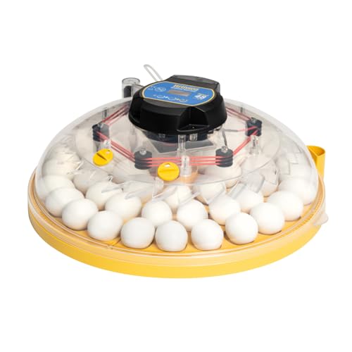 Brinsea Maxi 48 EX Egg Incubator with Automatic Turning & Humidity Control | 50+ years of trusted precision! Built-in automatic humidity, auto-turn & temp alarms take the stress out of hatching 48+ eggs