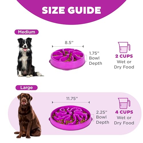 Outward Hound Fun Feeder Slo Bowl – Large 4‑Cup Capacity, Slow Feeding, Medium to Large Dogs, Non‑Slip, Purple, Flower Pattern - color: Purple, size: Large