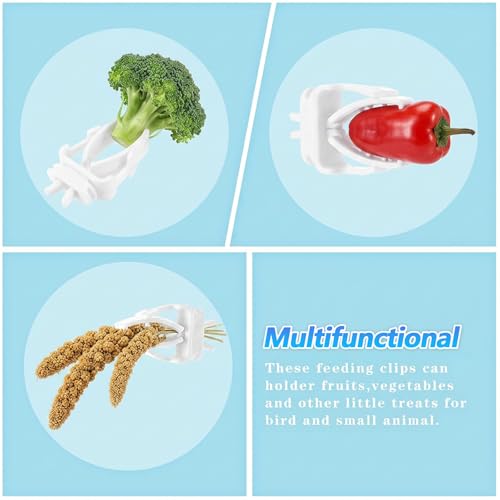 6Pcs Bird Cage Food Holder, Millet Holder for Birds Cages, Parrot Fruit Vegetable Clips Bird Cage Feeder Clip for Budgie Parakeet Cockatoo Macaw Cockatiel Conure