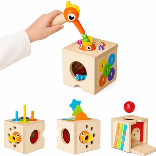 5-in-1 Wooden Activity Cube, Magnetic Bird Feeding Toy | Fine Motor Skills, Hand-Eye Coordination & Early Learning