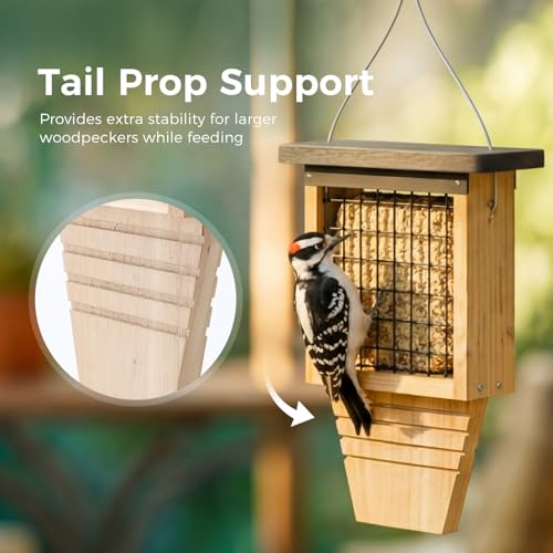 DIY Suet Bird Feeder for Outdoors, Hanging Woodpecker Feeder with Tail-Prop Design, Wooden Wild Bird Feeder for Suet Cakes, Great for Woodpeckers, Chickadees & Nuthatches (Assembly Required)