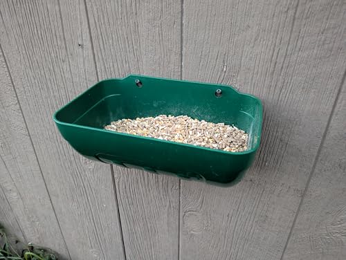Hen's Choice™ Feeder and Waterer Trough for Chickens, Ducks, Goats, Sheep, Turkey, 4.5 Quart Capacity, Green - color: Green