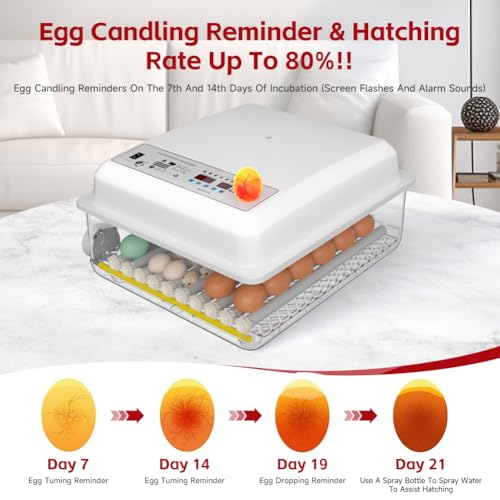 36 Egg Incubator with Automatic Egg Turning and Humidity Control, Incubators for Hatching Eggs, Chicken, Ducks, Goose, Pigeon, Quail, Parrot Incubator for Farm, Lab, Home (White)