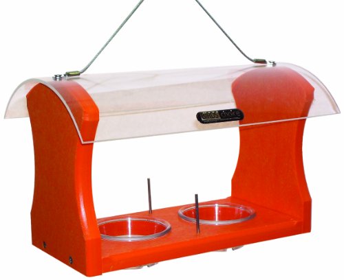 Birds Choice Oriole Bird Feeder | Hanging Bird Feeder for Jelly & Orange Halves | Includes Cup & Fruit Pegs | Recycled Plastic | Sturdy for Garden, Backyard, & Outdoor | 2 Cup Capacity, Orange | Includes Jelly Cup and Fruit Pegs, Recycled Plastic in Orang