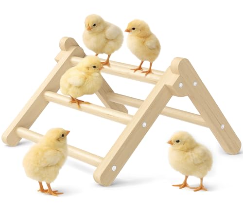 Chick Perch Foldable, Perch for Chicks Stable & No Assemble | Chick Roosting Perch for Stand Training, 11.02" × 9.84" × 6.10" Baby Chick Toys for Chicken Brooder | Coop (M) - size: 11.02" × 9.84" × 6.10"