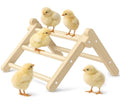 Chick Perch Foldable, Perch for Chicks Stable & No Assemble | Chick Roosting Perch for Stand Training, 11.02" × 9.84" × 6.10" Baby Chick Toys for Chicken Brooder | Coop (M) - size: 11.02" × 9.84" × 6.10"