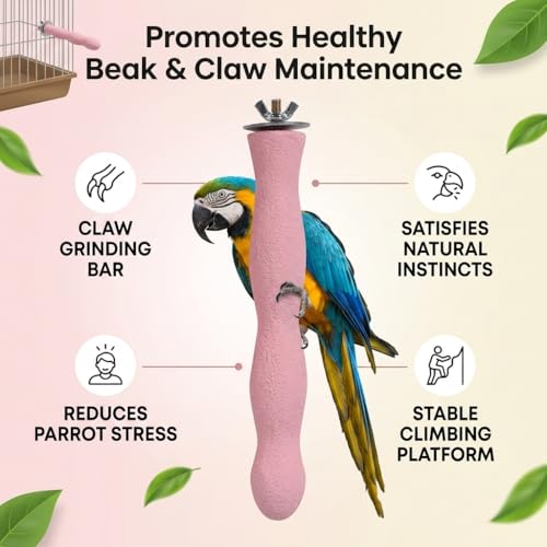 Natural Wood Bird Perch with Beak Grinding Bar, Climbing Standing Stick Cage Toy for Parakeets, Cockatiels, African Grey, Budgies & Small Parrots